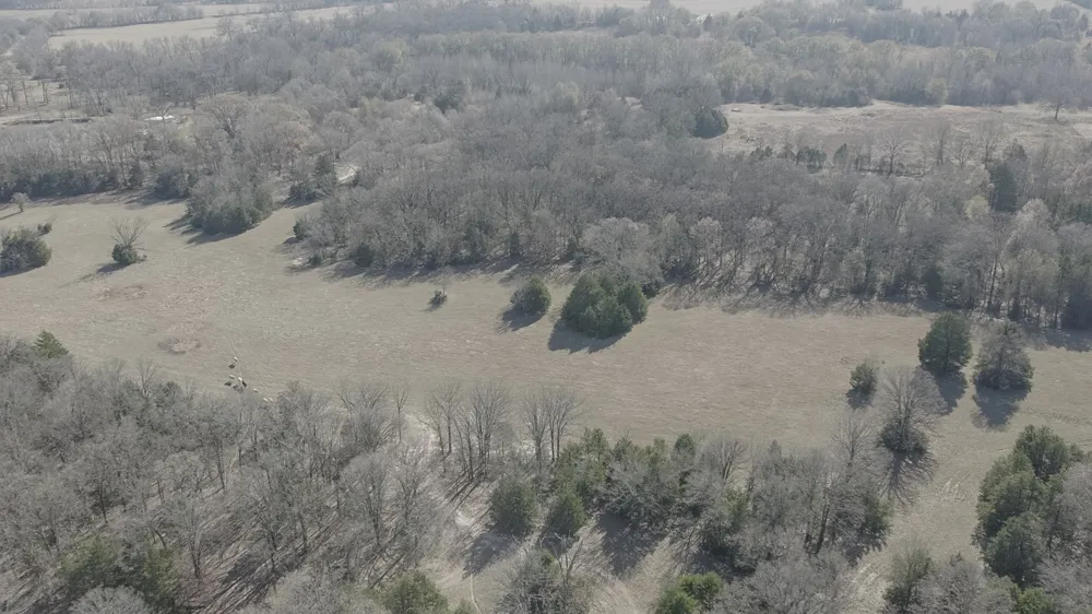 CR 1810 Grand Saline, TX 75140