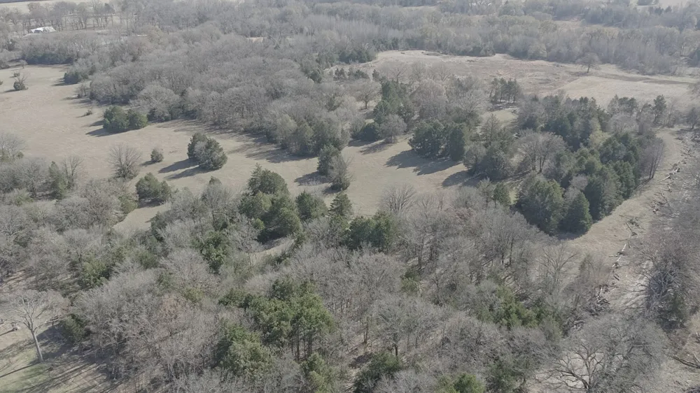 CR 1810 Grand Saline, TX 75140