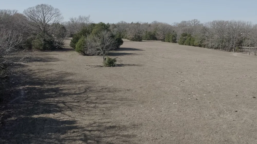CR 1810 Grand Saline, TX 75140