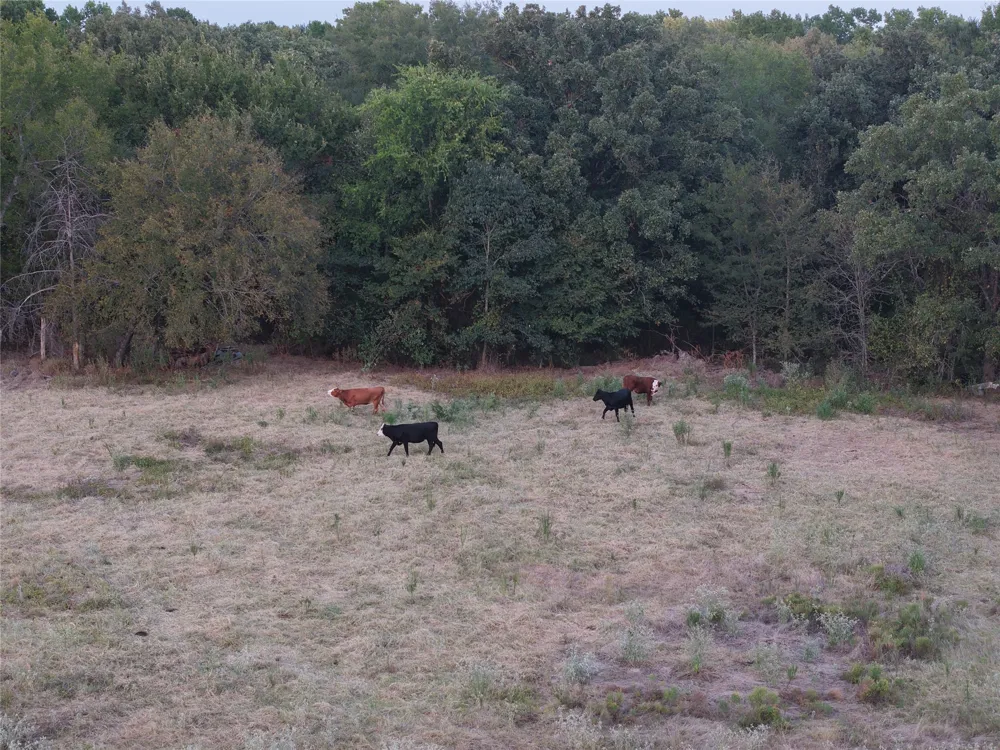 CR 1810 Grand Saline, TX 75140