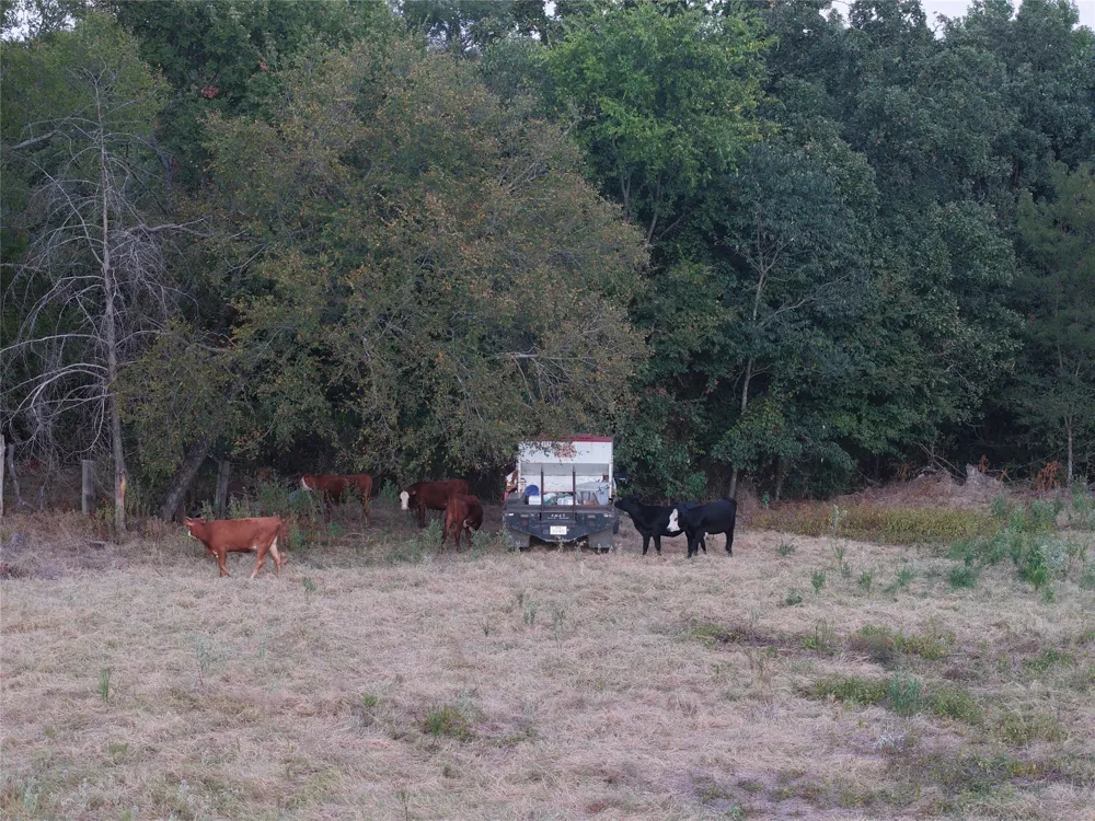 CR 1810 Grand Saline, TX 75140
