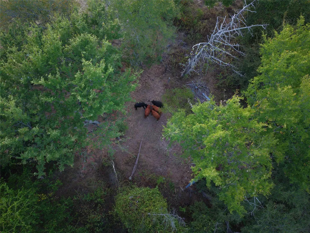 CR 1810 Grand Saline, TX 75140