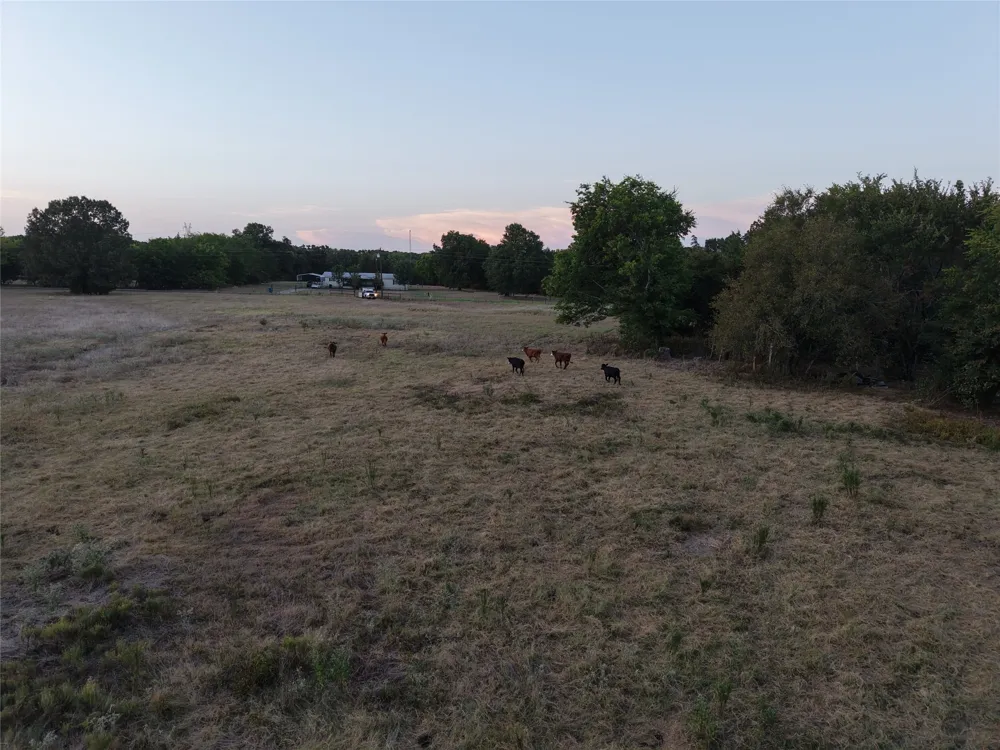 CR 1810 Grand Saline, TX 75140