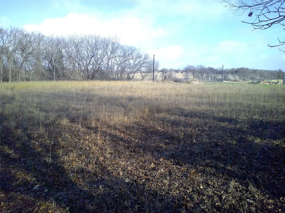 Starr Mann St Jo, TX 76265