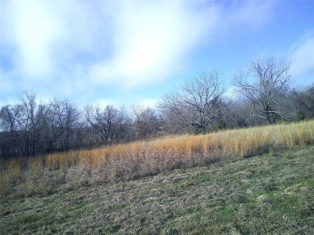 Starr Mann St Jo, TX 76265