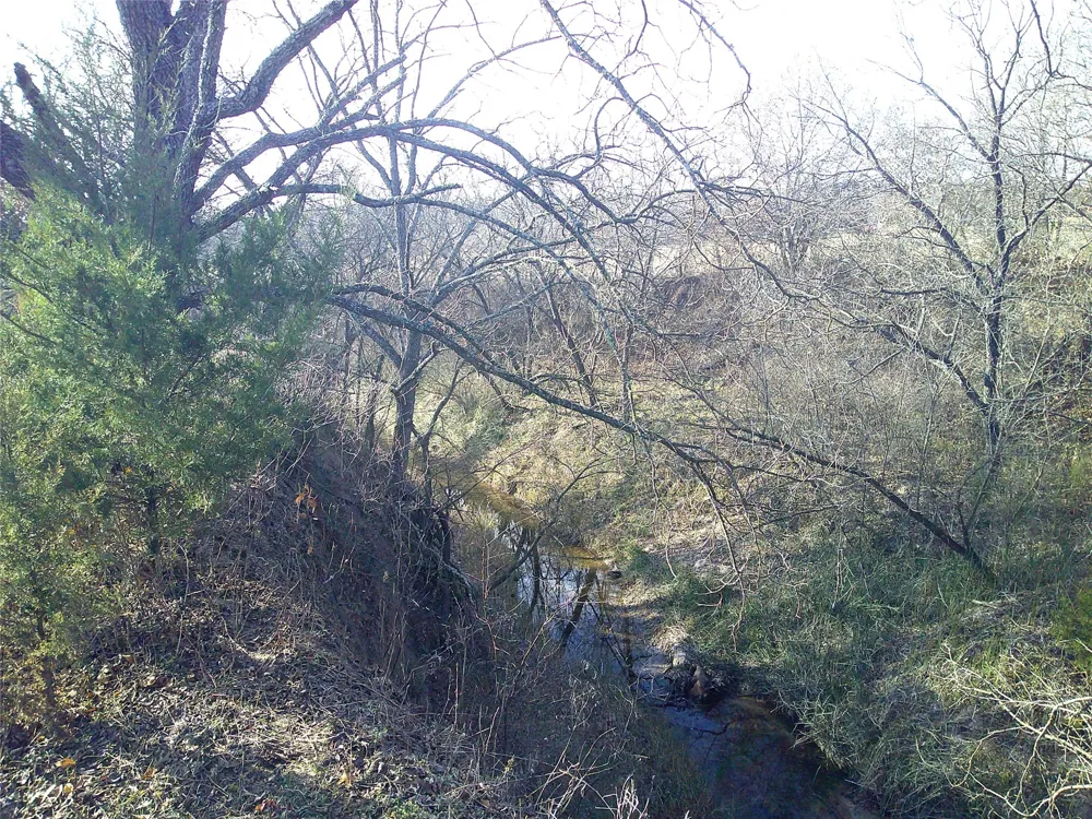 Starr Mann St Jo, TX 76265
