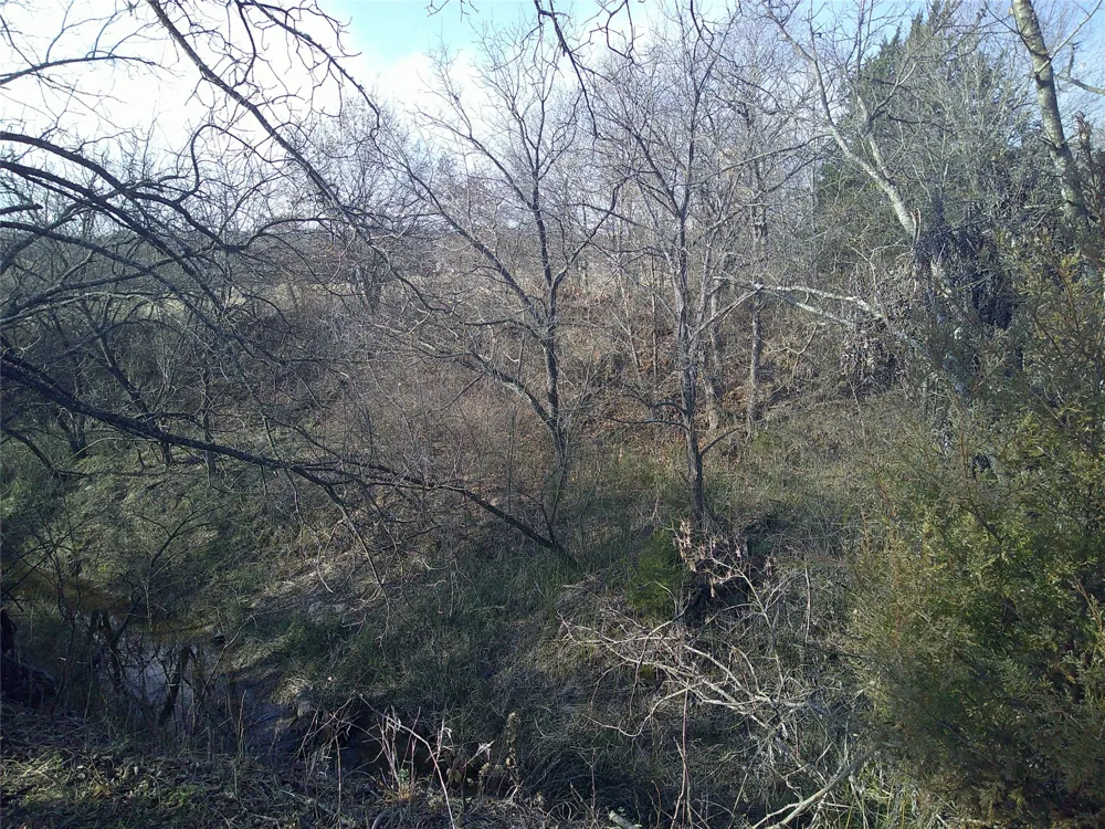 Starr Mann St Jo, TX 76265