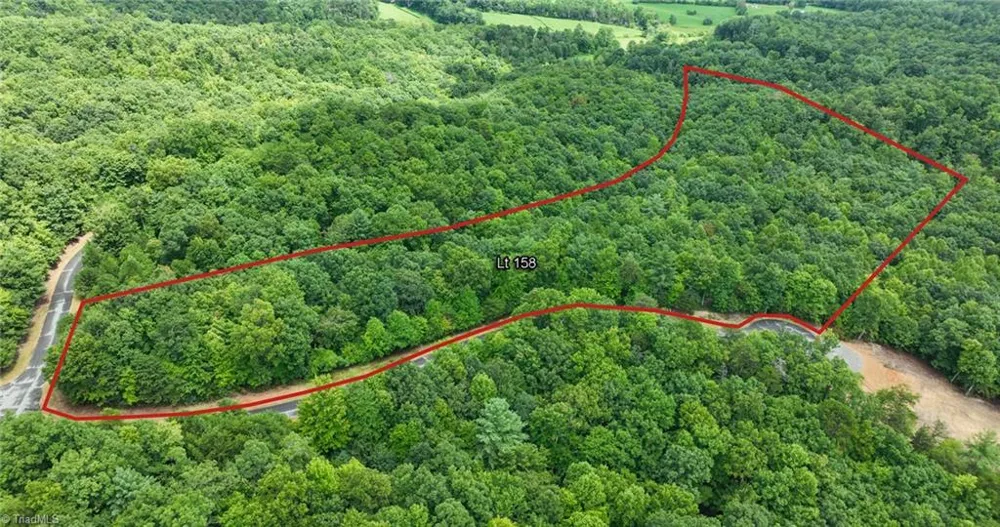 Lot 158 Carriage House Trail McGrady, NC 28649