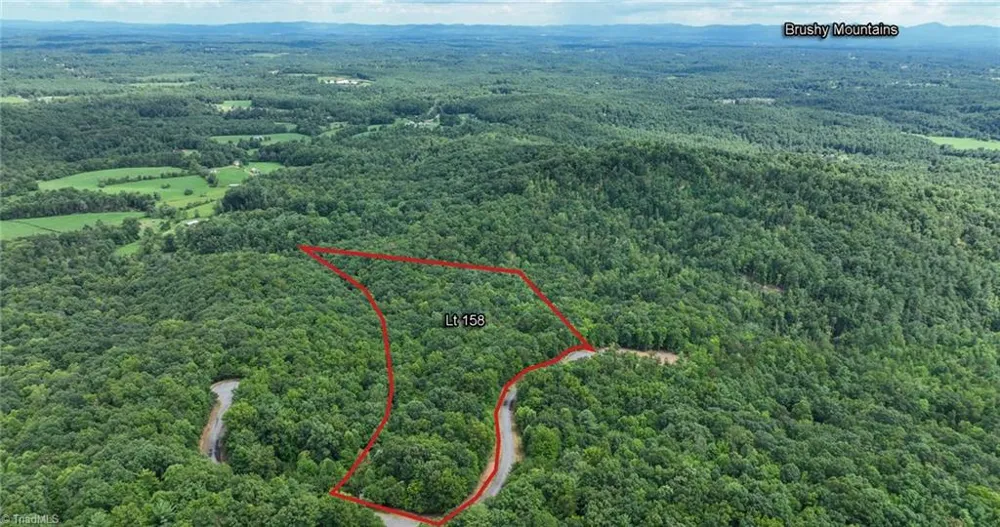 Lot 158 Carriage House Trail McGrady, NC 28649