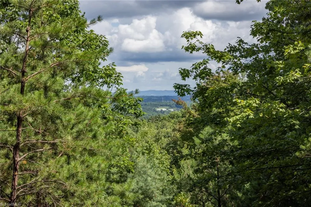 Lot 158 Carriage House Trail McGrady, NC 28649