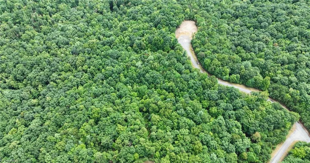 Lot 158 Carriage House Trail McGrady, NC 28649