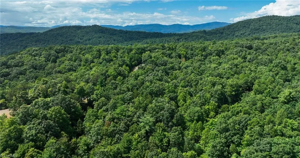 Lot 158 Carriage House Trail McGrady, NC 28649