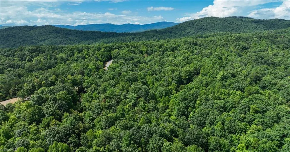 Lot 158 Carriage House Trail McGrady, NC 28649