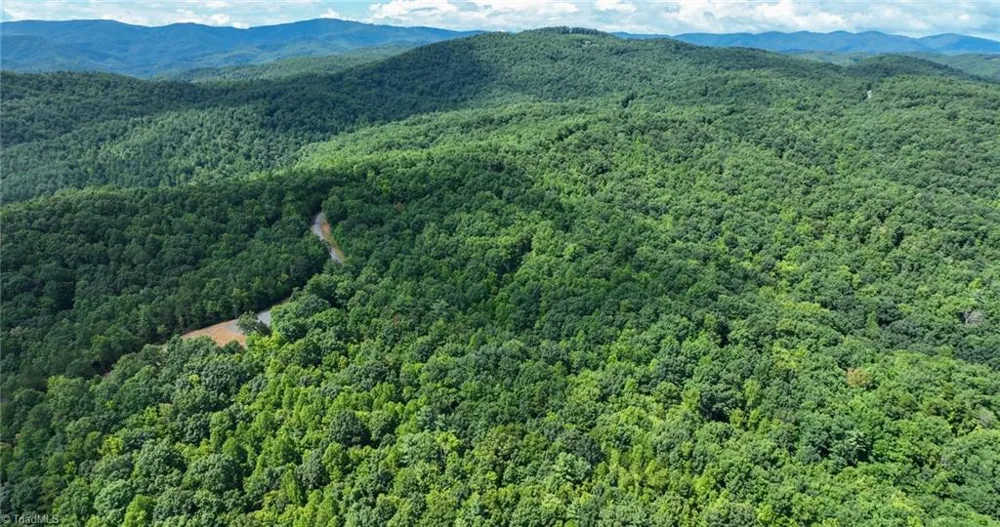 Lot 158 Carriage House Trail McGrady, NC 28649