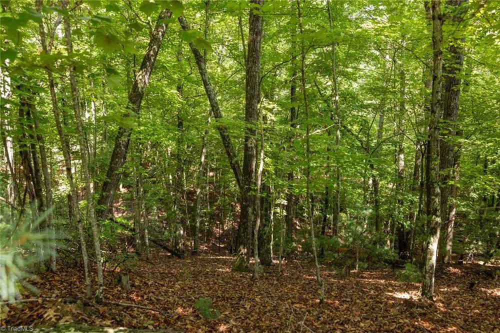 Lot 158 Carriage House Trail McGrady, NC 28649