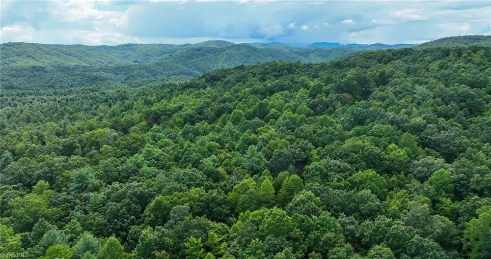 Lot 158 Carriage House Trail McGrady, NC 28649
