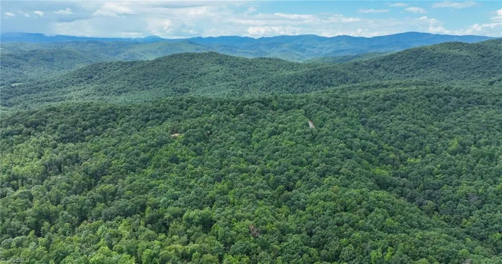 Lot 158 Carriage House Trail McGrady, NC 28649