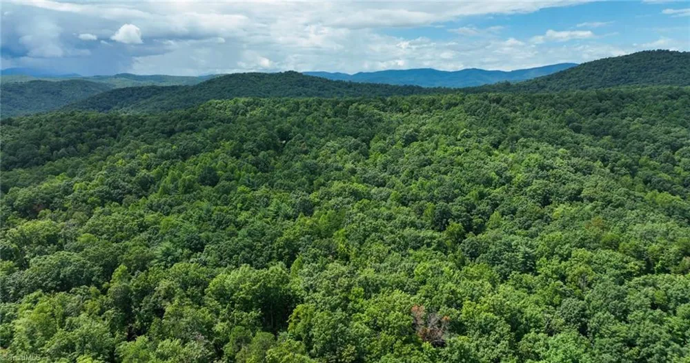 Lot 158 Carriage House Trail McGrady, NC 28649