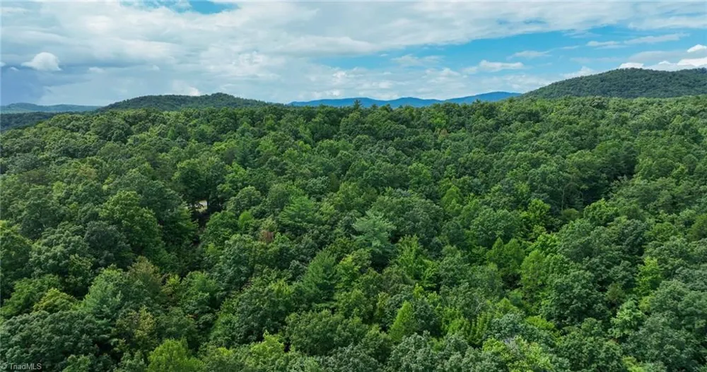 Lot 158 Carriage House Trail McGrady, NC 28649