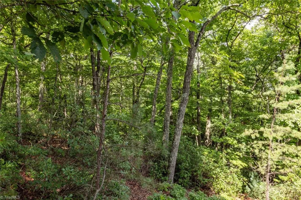 Lot 158 Carriage House Trail McGrady, NC 28649