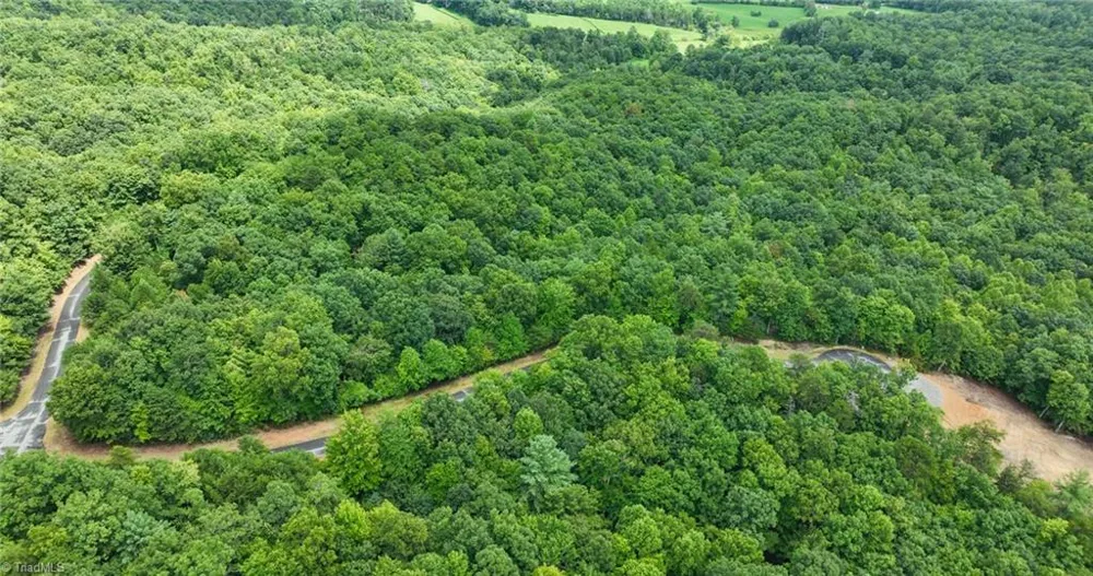 Lot 158 Carriage House Trail McGrady, NC 28649