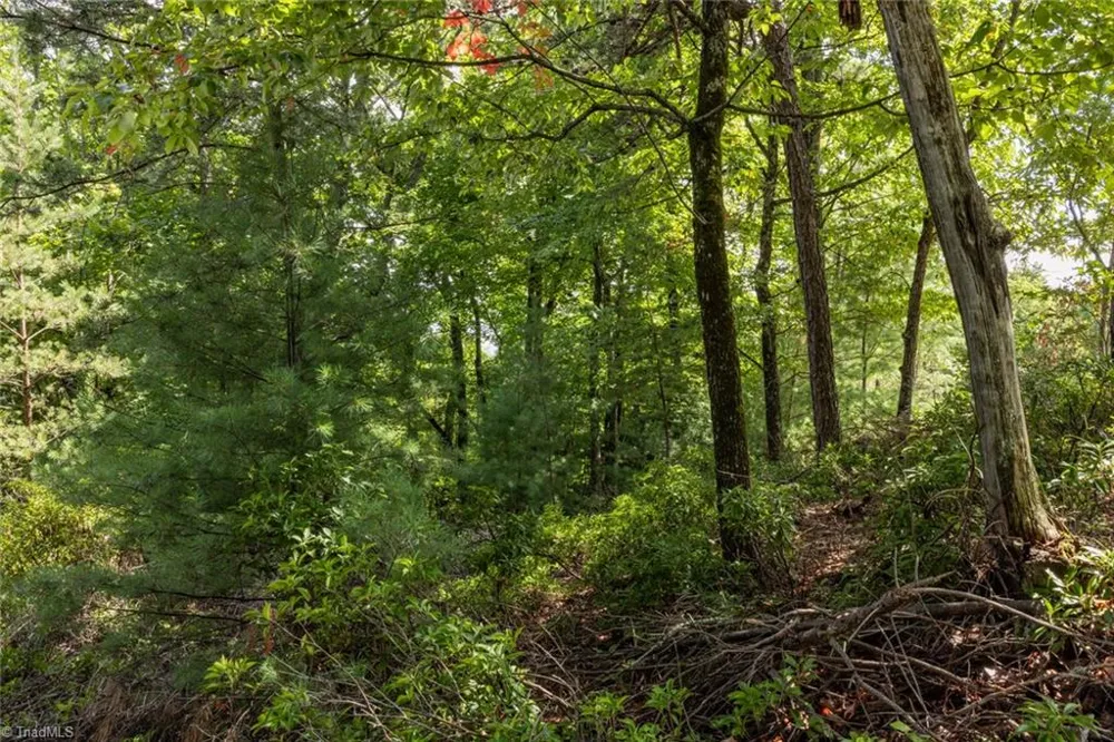 Lot 158 Carriage House Trail McGrady, NC 28649