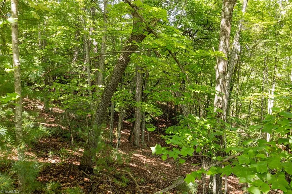 Lot 158 Carriage House Trail McGrady, NC 28649
