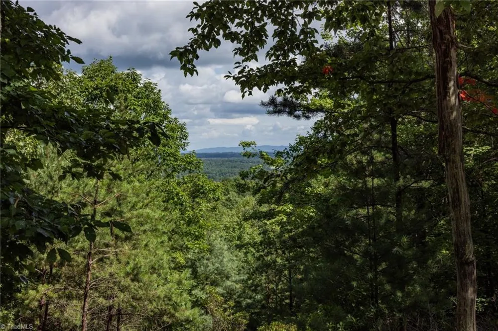 Lot 158 Carriage House Trail McGrady, NC 28649