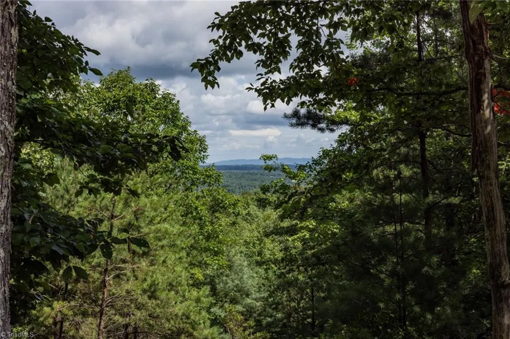 Lot 158 Carriage House Trail McGrady, NC 28649