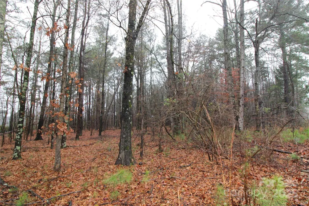 8.94+/-AC Bess Road #LOT L Bessemer City, NC 28016
