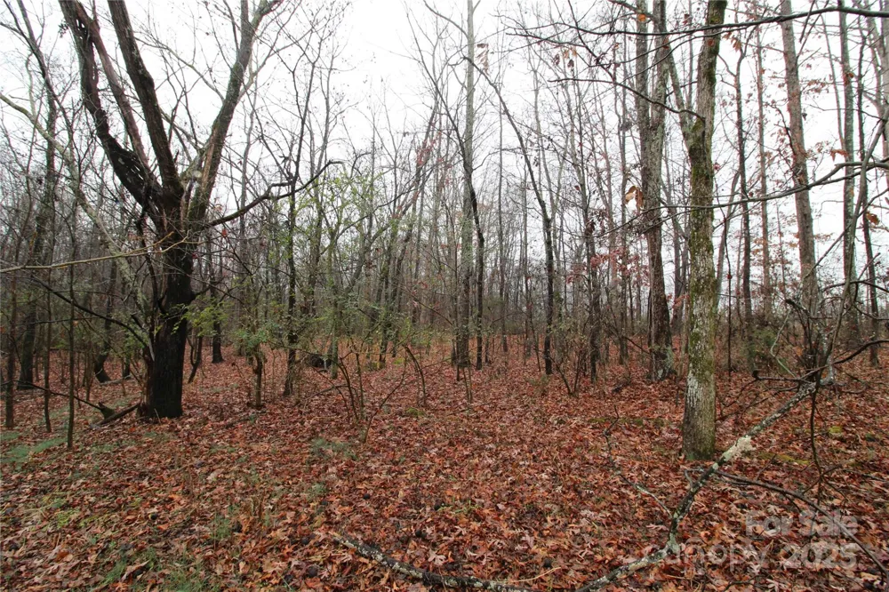 8.94+/-AC Bess Road #LOT L Bessemer City, NC 28016