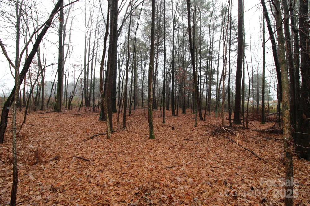 8.94+/-AC Bess Road #LOT L Bessemer City, NC 28016