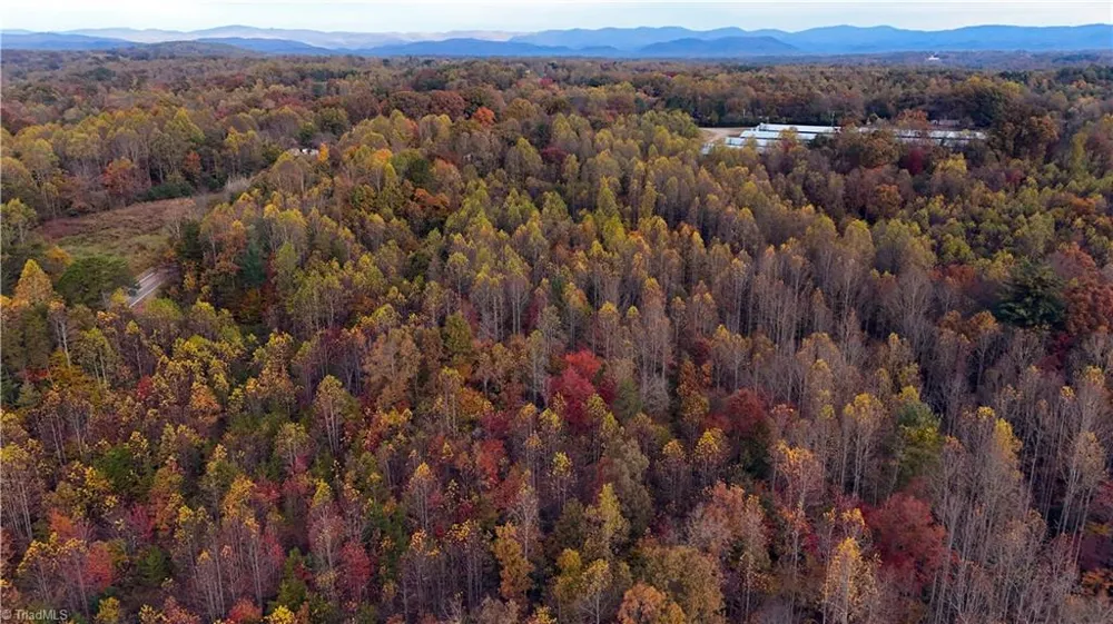 001 Rock Creek Ch Road North Wilkesboro, NC 28659