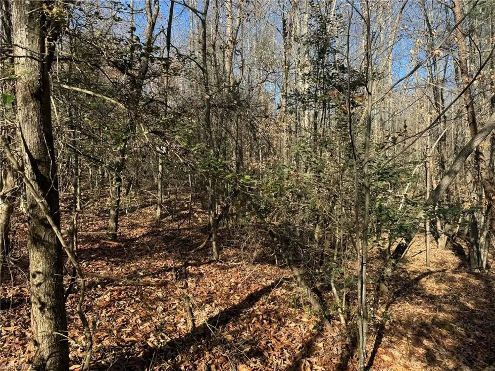001 Rock Creek Ch Road North Wilkesboro, NC 28659