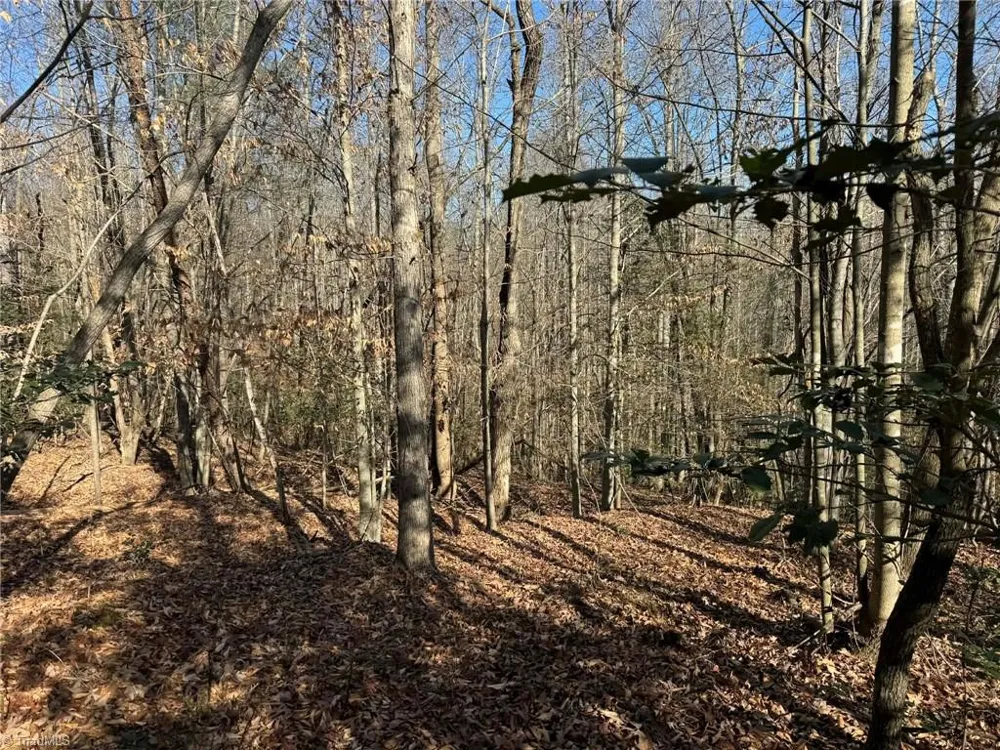 001 Rock Creek Ch Road North Wilkesboro, NC 28659