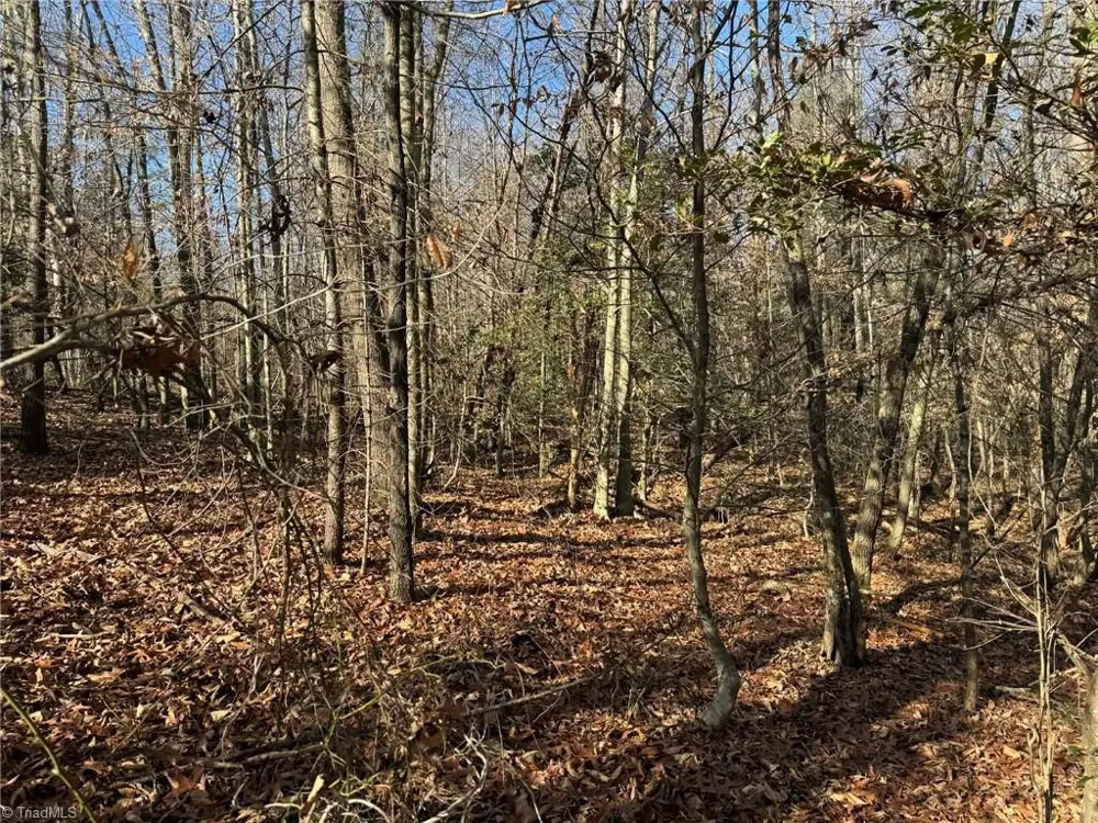 001 Rock Creek Ch Road North Wilkesboro, NC 28659