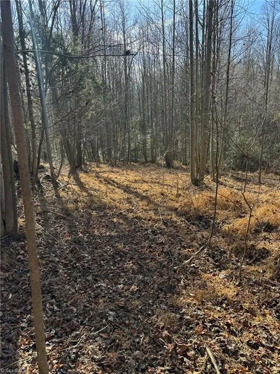 001 Rock Creek Ch Road North Wilkesboro, NC 28659