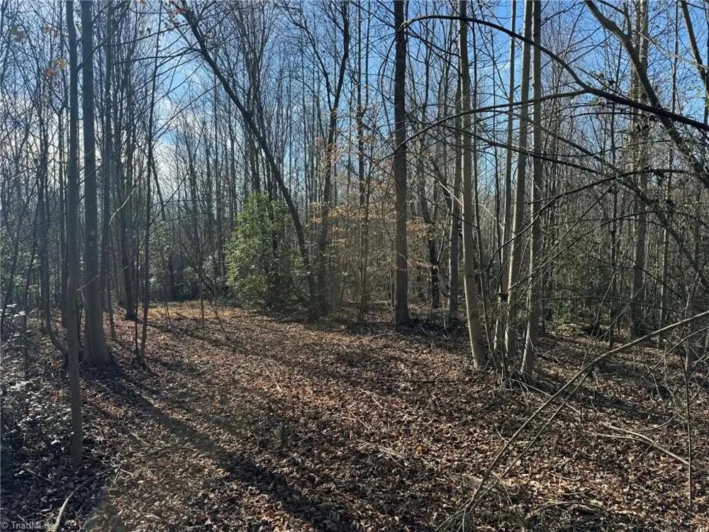 001 Rock Creek Ch Road North Wilkesboro, NC 28659