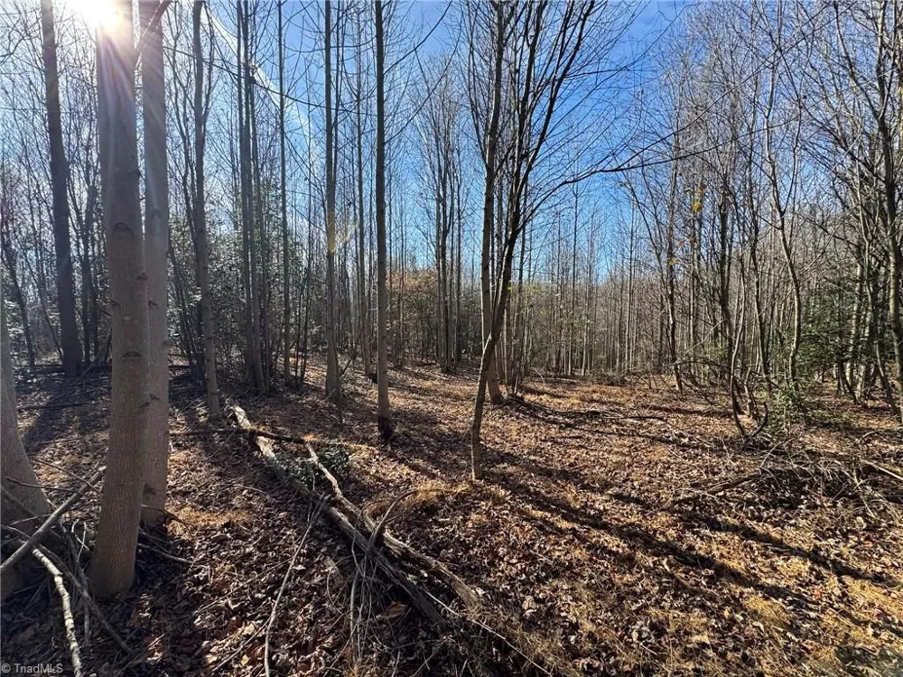 001 Rock Creek Ch Road North Wilkesboro, NC 28659