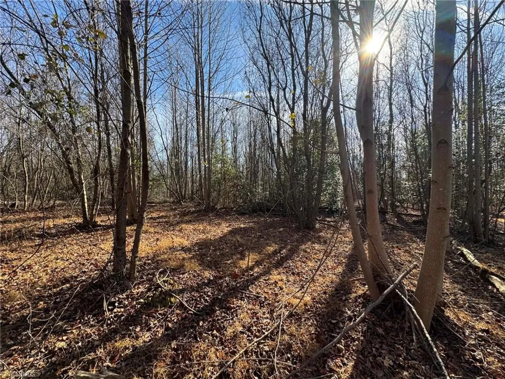 001 Rock Creek Ch Road North Wilkesboro, NC 28659