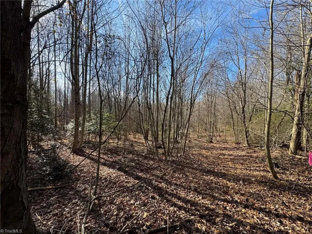 001 Rock Creek Ch Road North Wilkesboro, NC 28659
