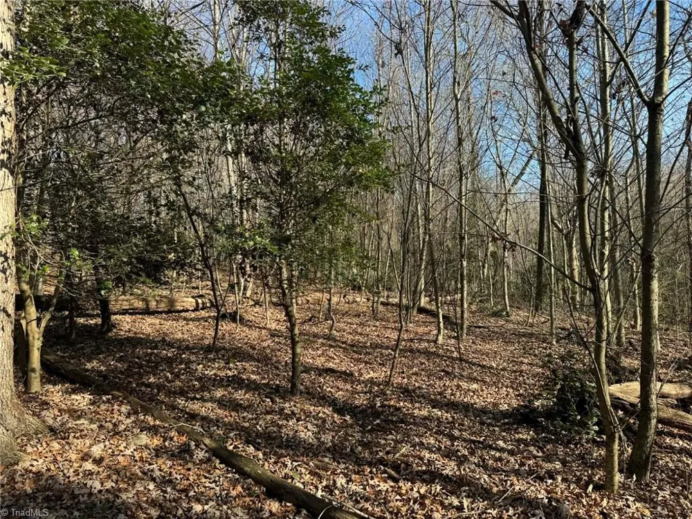 001 Rock Creek Ch Road North Wilkesboro, NC 28659