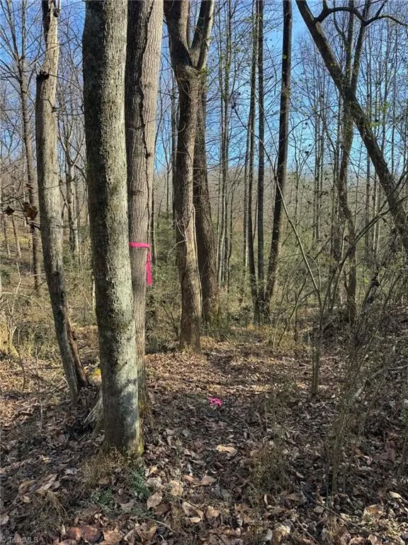 001 Rock Creek Ch Road North Wilkesboro, NC 28659