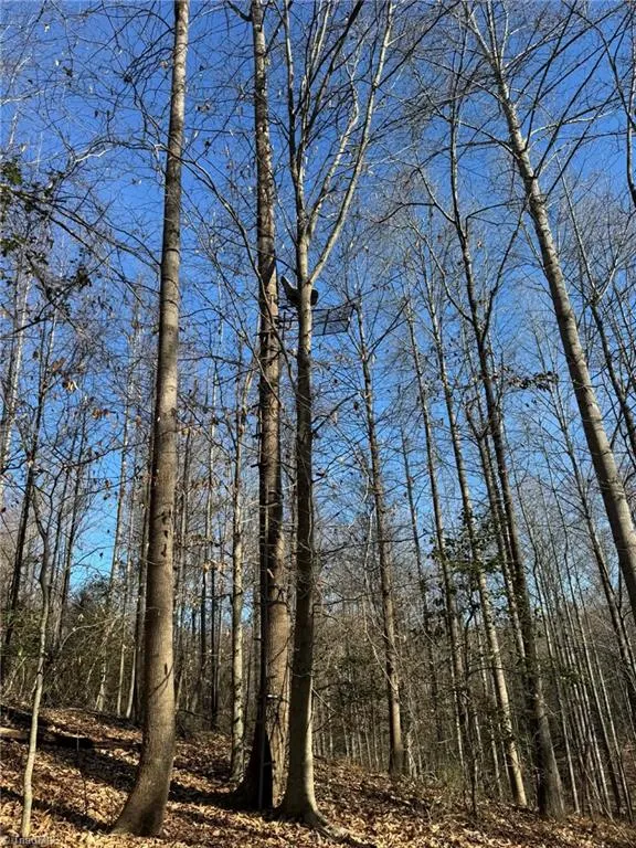001 Rock Creek Ch Road North Wilkesboro, NC 28659