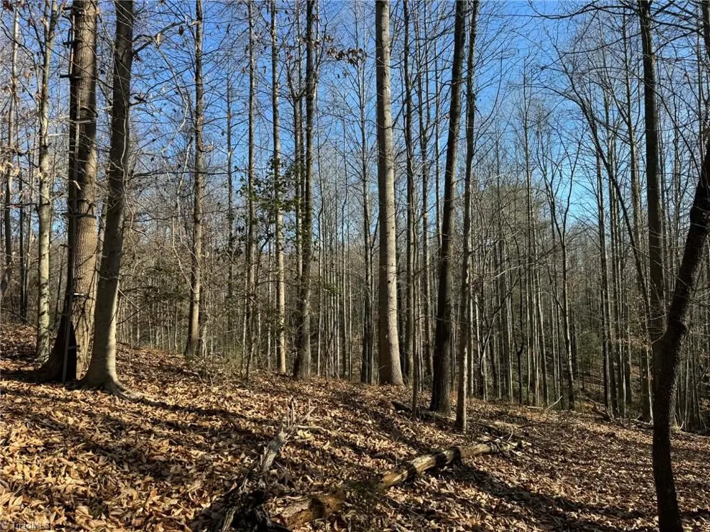 001 Rock Creek Ch Road North Wilkesboro, NC 28659