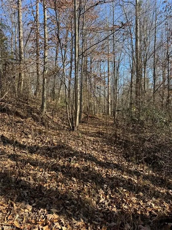 001 Rock Creek Ch Road North Wilkesboro, NC 28659