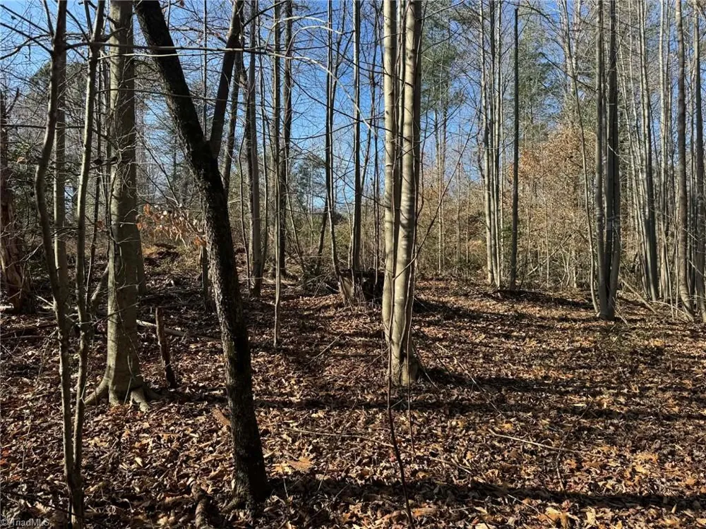 001 Rock Creek Ch Road North Wilkesboro, NC 28659
