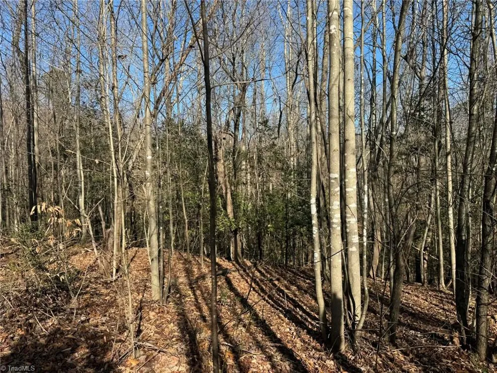 001 Rock Creek Ch Road North Wilkesboro, NC 28659