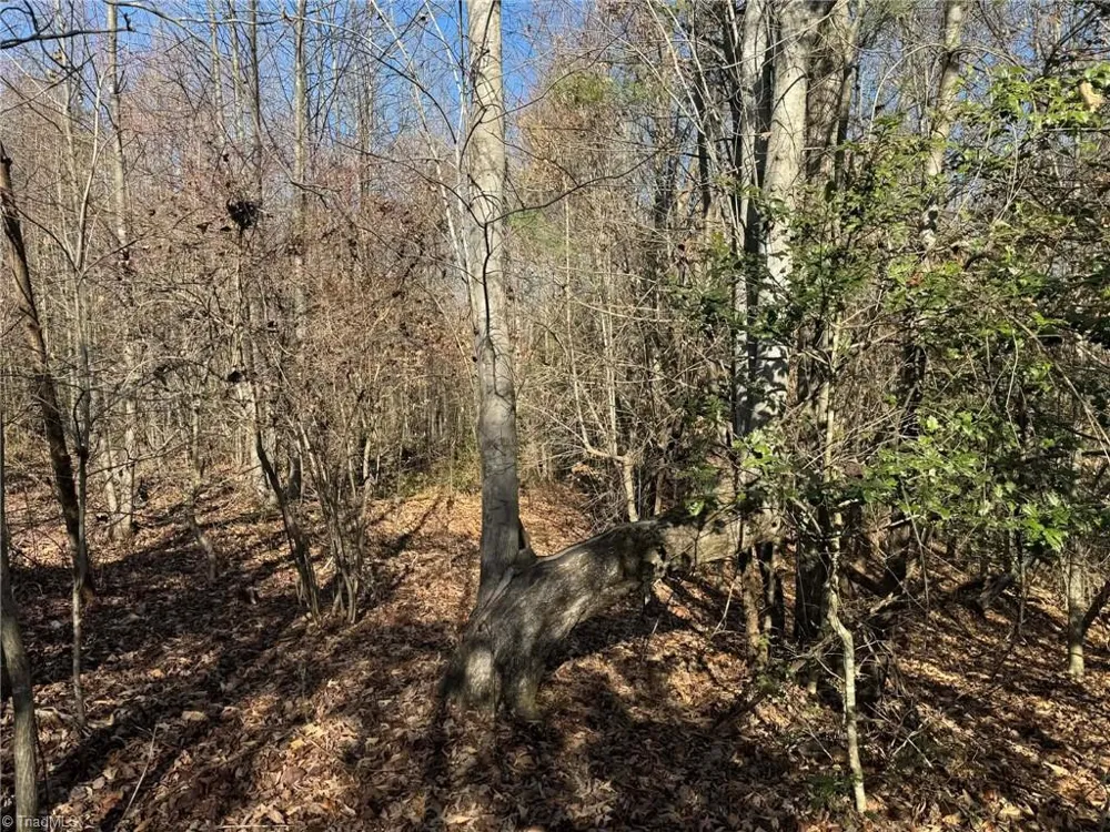 001 Rock Creek Ch Road North Wilkesboro, NC 28659