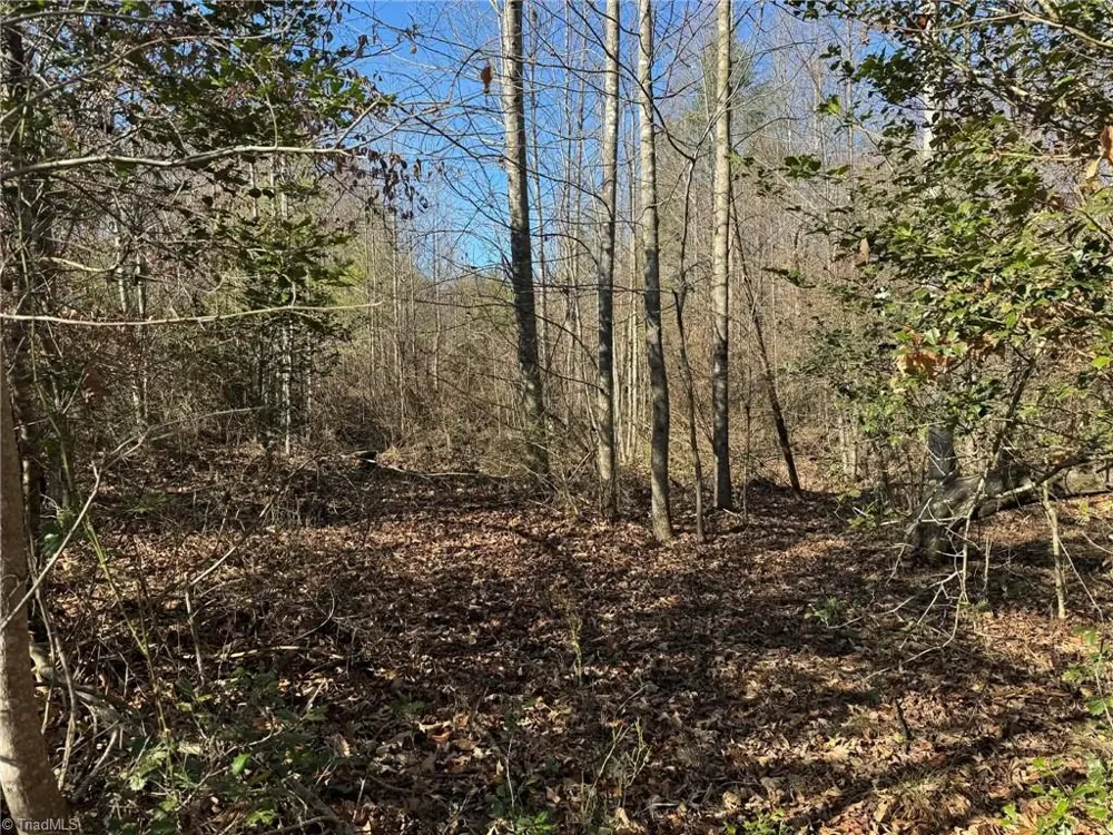 001 Rock Creek Ch Road North Wilkesboro, NC 28659